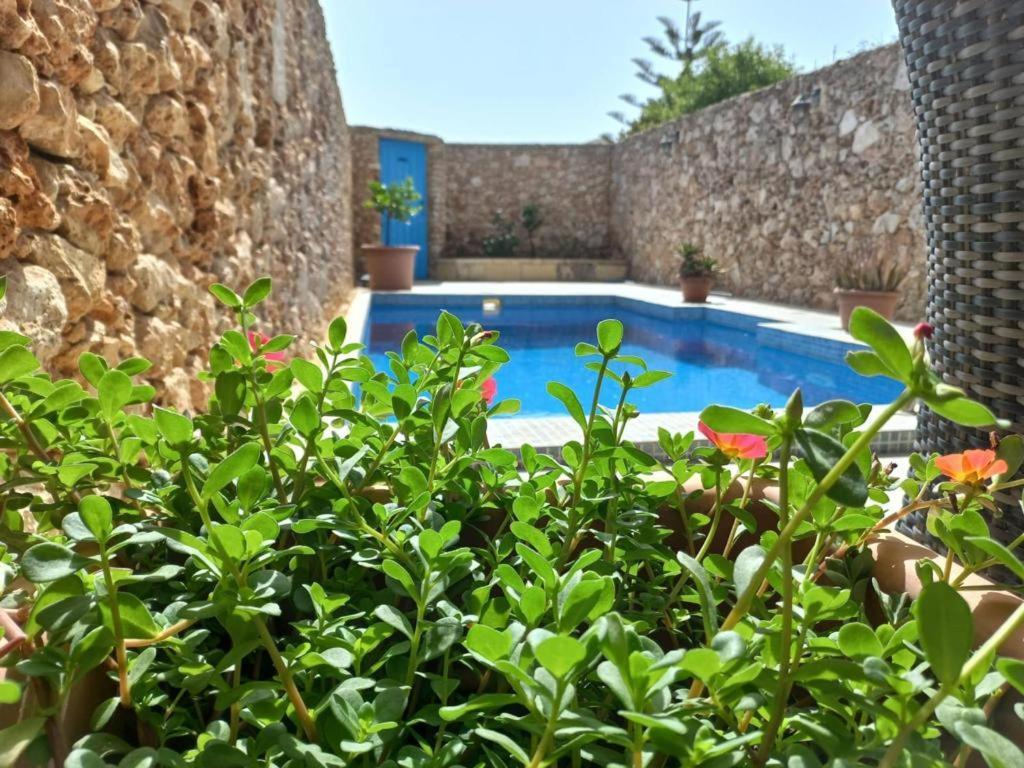 T'Anna Farmhouse Villa Nadur Luaran gambar